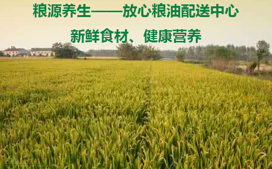 深到你身边 深圳首家粮油送货到家，品质生活从餐桌开始